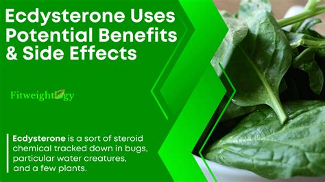 beta ecdysterone benefits|Ecdysteroids benefits, dosage, and side effects .